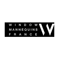 logo-Mapi Window