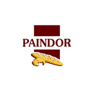 logo-Paindor