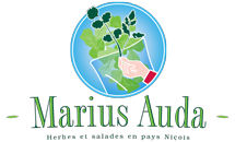 logo-Marius Auda